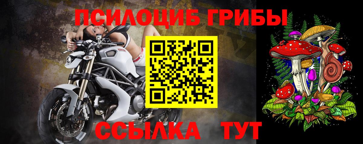 Ступино  Галлюциногенные грибы GOLDEN TEACHER  Вход с VPN  Галлюциногенные грибы ЛСД 