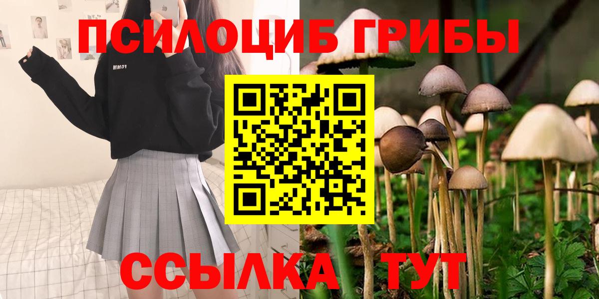 Галлюциногенные грибы мухоморы Ступино